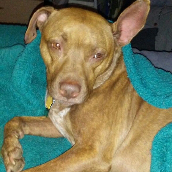 Meet your Posher, Kimberlyโ๐๐ - Picture 3 of 6